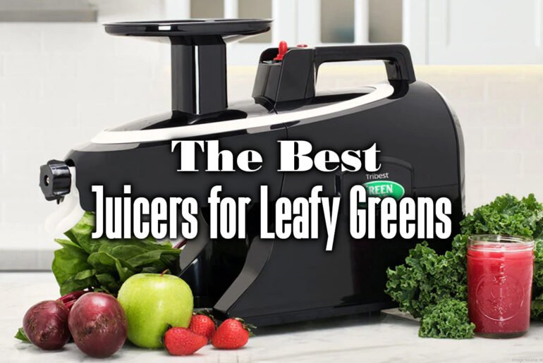 the best juicers for leafy greens
